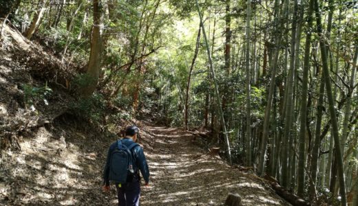 静岡の宇津ノ谷峠のハイキングルート詳細と感想